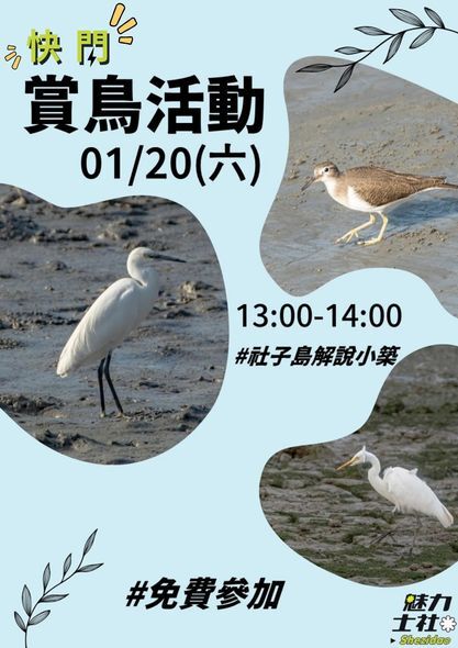 1130120賞鳥活動